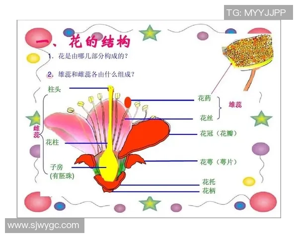 足球性循环的深层解析与发展趋势探讨